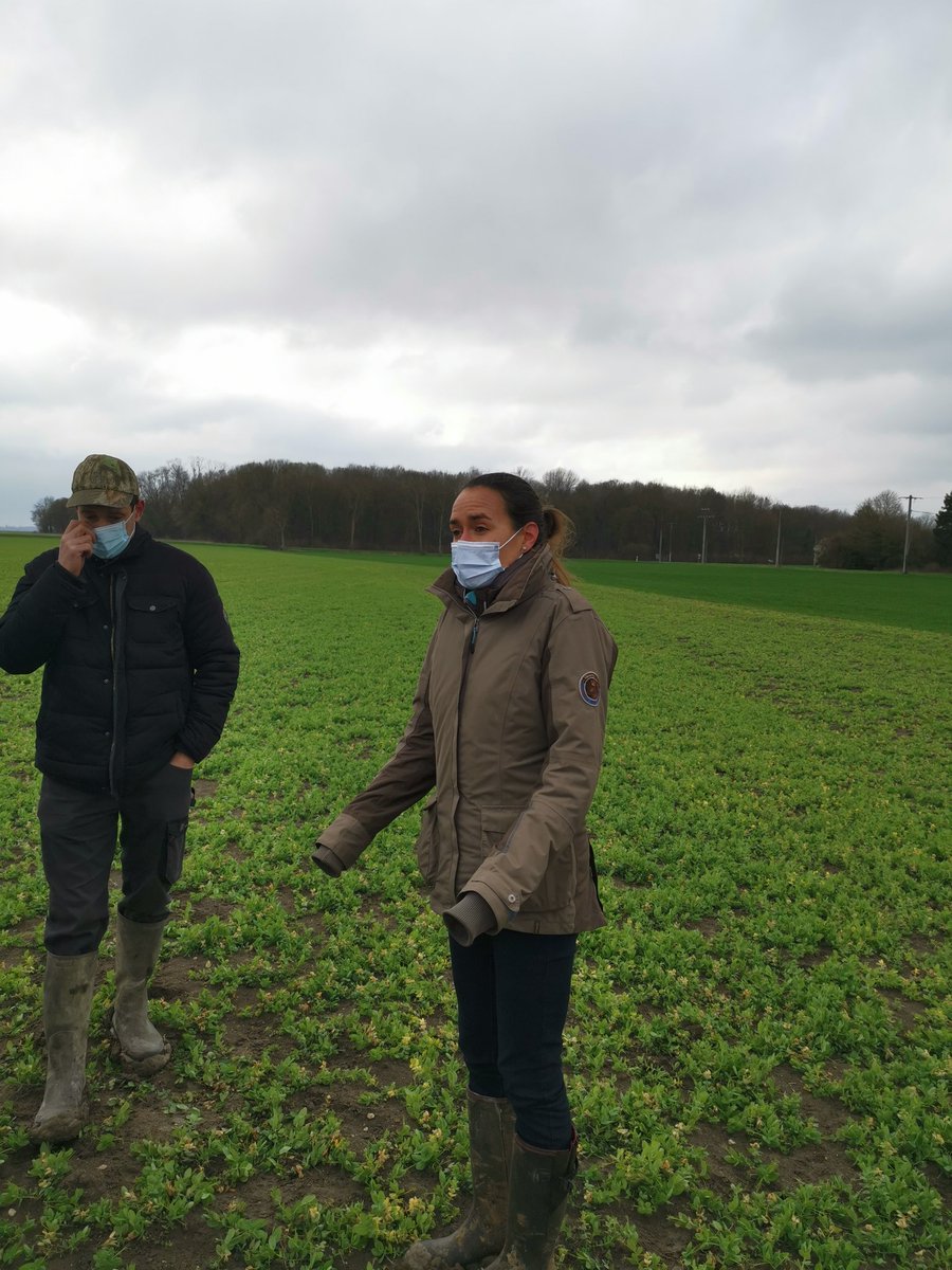 #tourdeplaine par  <a href="/terresinovia/">Terres Inovia</a> et <a href="/GDA_Chatillon/">GDA de Chatillon-Coligny</a> avec <a href="/AgathePenant/">Agathe Penant</a>  pour échanger sur les proteagineux !
Pois et feverole d'hiver ou de printemps ! 
#proteagineux