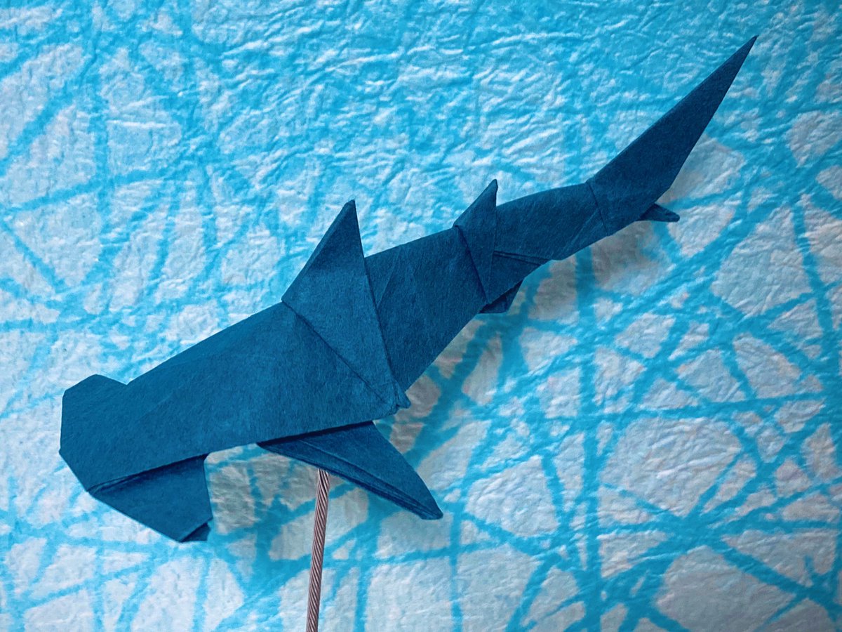 かーくん シュモクザメの折り方を投稿しました 頭の形が独特でとてもかっこいいです Origami Hammerhead Shark How To Fold 折り紙 シュモクザメの折り方 T Co Sxca6sshqc Youtubeより 折り紙 Origami サメ Shark シュモクザメ