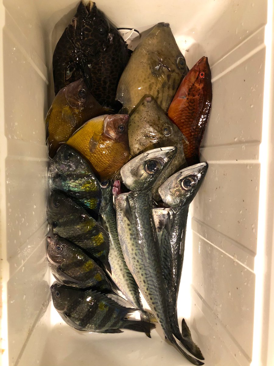 みんなの 刺身 アクアパッツァ 口コミ 評判 2ページ目 食べたいランチ 夜ごはんがきっと見つかる ナウティスイーツ みんなの 刺身 アクアパッツァ 口コミ 評判 2ページ目 食べたいランチ 夜ごはんがきっと見つかる ナウティスイーツ