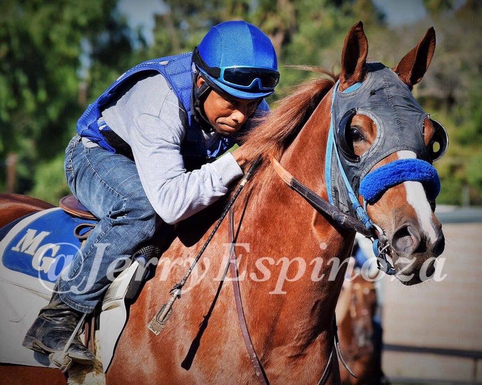 AdolfoRod2's tweet image. Nice race horse 🏇