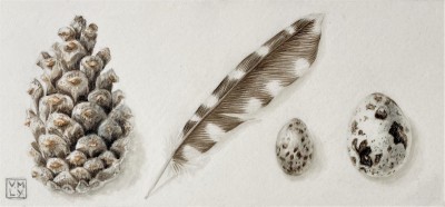 Red Rag Gallery tweet media