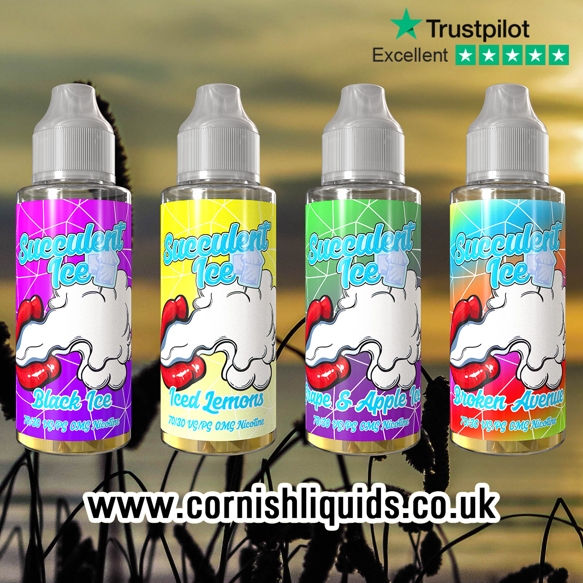 Succulent Ice punchy flavours #vape #vaping #eliquid #vapelife #vapeporn #vapenation #vapecommunity #vapeon #vapefam #vapelyfe #vapestagram #vapedaily #vapetricks #vaper #vapeshop #vapepics   bit.ly/3cRlU43