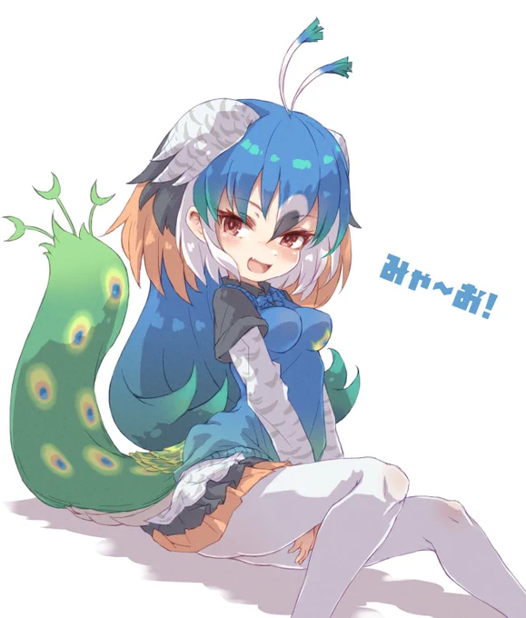 指輪のプレゼント??は大好きなクジャクちゃん?デス!?✨? #けものフレンズ 