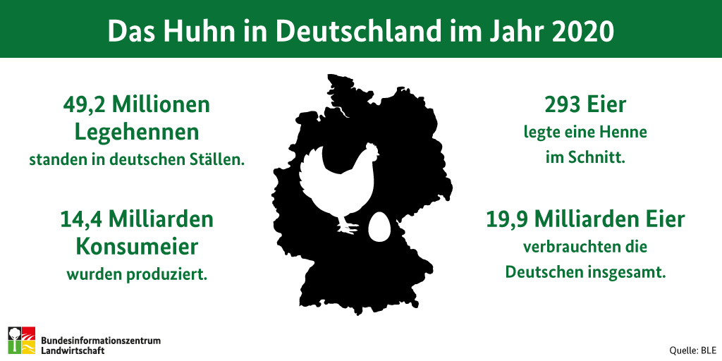 Guten Morgen mit unserer heutigen #Grafik der Woche.

#Montagmorgen #Montag  
#Ostern #Osterei #Huhn #Happyeaster