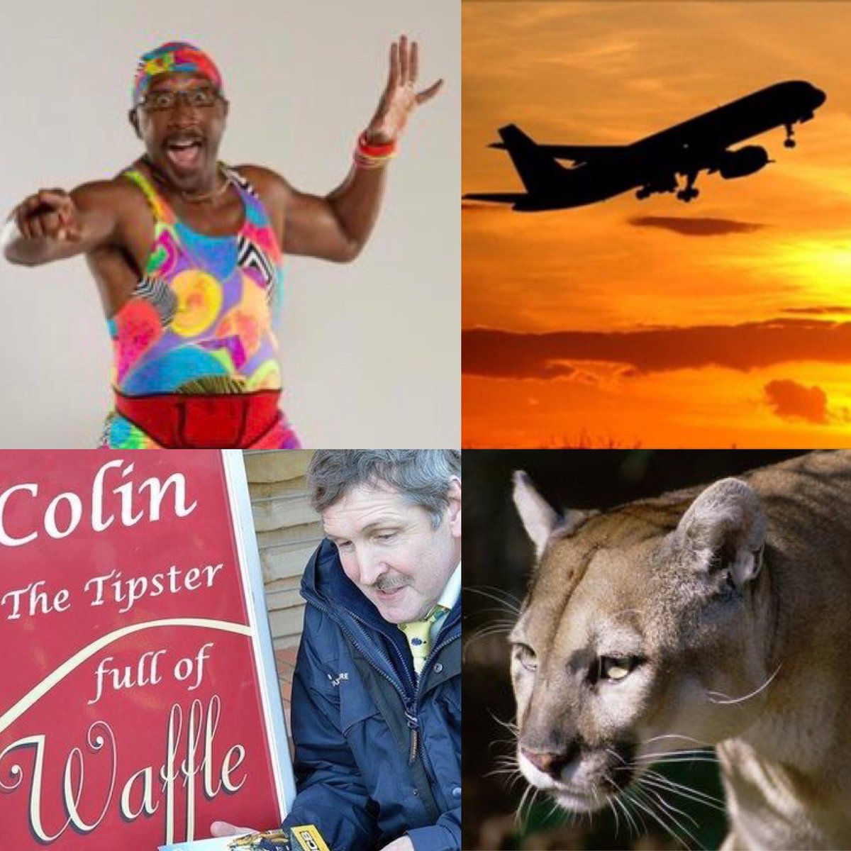Faye Hatcher (@fayehatcher) on Twitter photo Saturday Brunch <a href="/BBCGlos/">BBC Gloucestershire</a> including the amazing <a href="/MrMotivator/">Mr Motivator MBE</a> plus <a href="/ladyjaney75/">Jane Hawkes</a> on why travel insurance is a must this summer, <a href="/colin_onens/">Colin Onens</a> highlights from this yearโs #CheltenhamFestival and big cat chat with expert Rick Minter ๐ Saturday Brunch <a href="/BBCGlos/">BBC Gloucestershire</a> including the amazing <a href="/MrMotivator/">Mr Motivator MBE</a> plus <a href="/ladyjaney75/">Jane Hawkes</a> on why travel insurance is a must this summer, <a href="/colin_onens/">Colin Onens</a> highlights from this yearโs #CheltenhamFestival and big cat chat with expert Rick Minter ๐