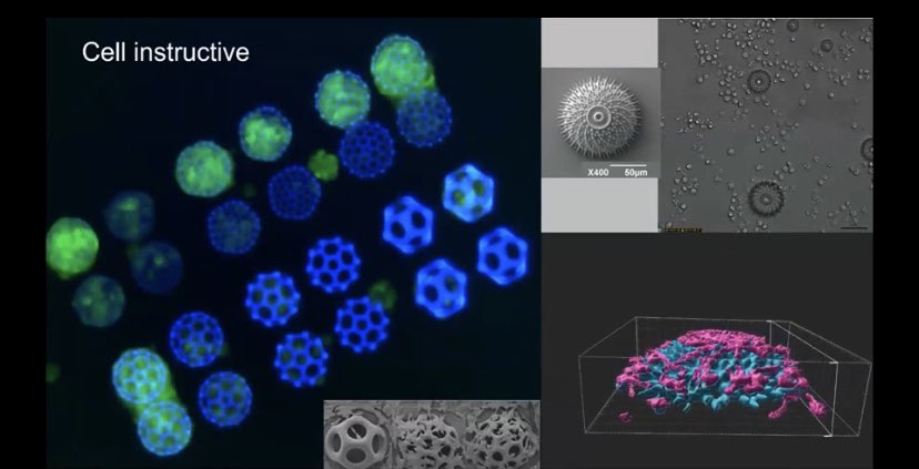 leoywu4's tweet photo. A very enlightening public lecture by @PuttyKnees from @UoNCfAM @UniofNottingham to show the progress of #AdditiveManufacturing, the power of #micro #nano #3Dprinting in producing functional parts for #biomedical applications, and the potential of #AI-driven topology optimisation https://t.co/Ehy55xxSz8