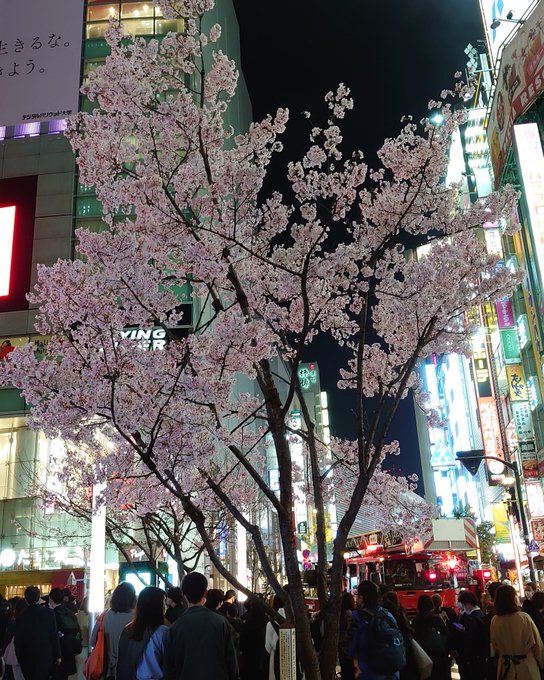 火事 新宿駅 ドンキの横のビルから煙あがる 新宿駅東南口付近で煙 消防車集結で現場騒然 桜の花と消防車 まとめダネ