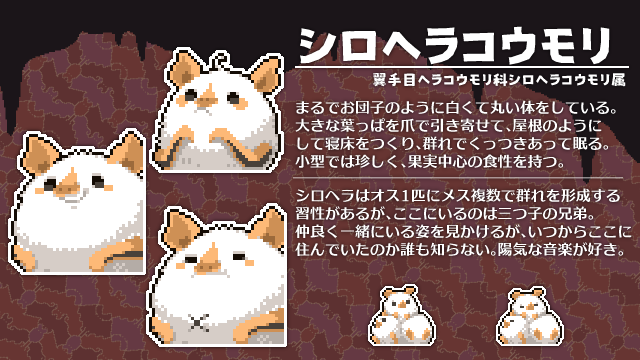 コウモリ紹介④～ シロヘラコウモリ 夜の狩りには行かずにじっとして