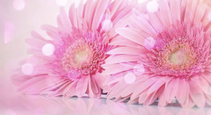 おつかれさまでした 高画質 のtwitterイラスト検索結果 古い順