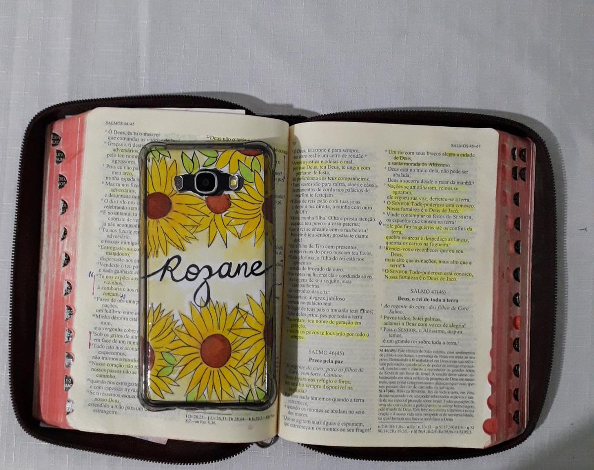 RosaMar14112784's tweet photo. #TestemunhoDeJesus #misericordiaDivina #Paz #ApalavraSeCumpre #Oráculo #SedePerfeitos #girassóis #objetivo #Decisão @Rozane_Costa
"Por um breve momento te deixei, mas com grandes misericórdias te recolherei;( Is54,7-10; 49,14-23)@Paulo97813048 #Luz https://t.co/JJLPe8rolV