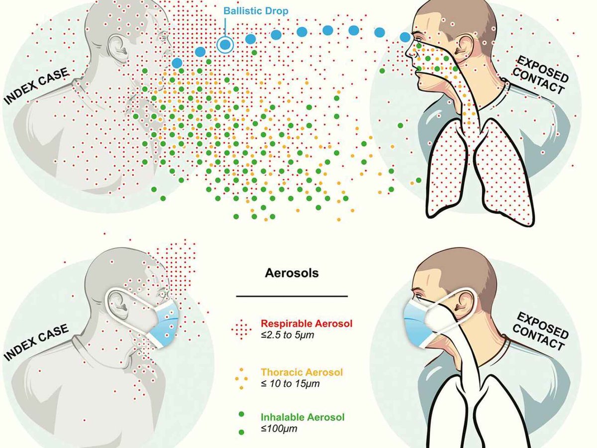 LoQSeDic's tweet image. #19Mar 🇻🇪📣 ¡ETIQUETA DEL DEL DÍA!
#QuítaleLaCoronaAlVirus

Refuerza las medidas de bioseguridad y acude al médico ante el menor síntoma. Esta es la clave para enfrentar las variantes brasileñas de Covid19.

 Vamos, ¡Sabemos cómo hacerlo! ¡Cuidémonos!