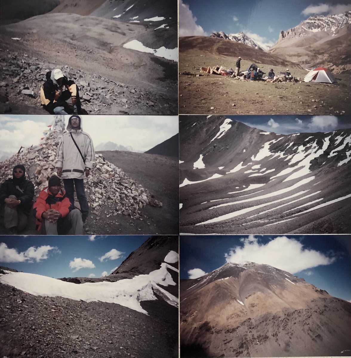 mani मनि (The Plant Person) tweet media