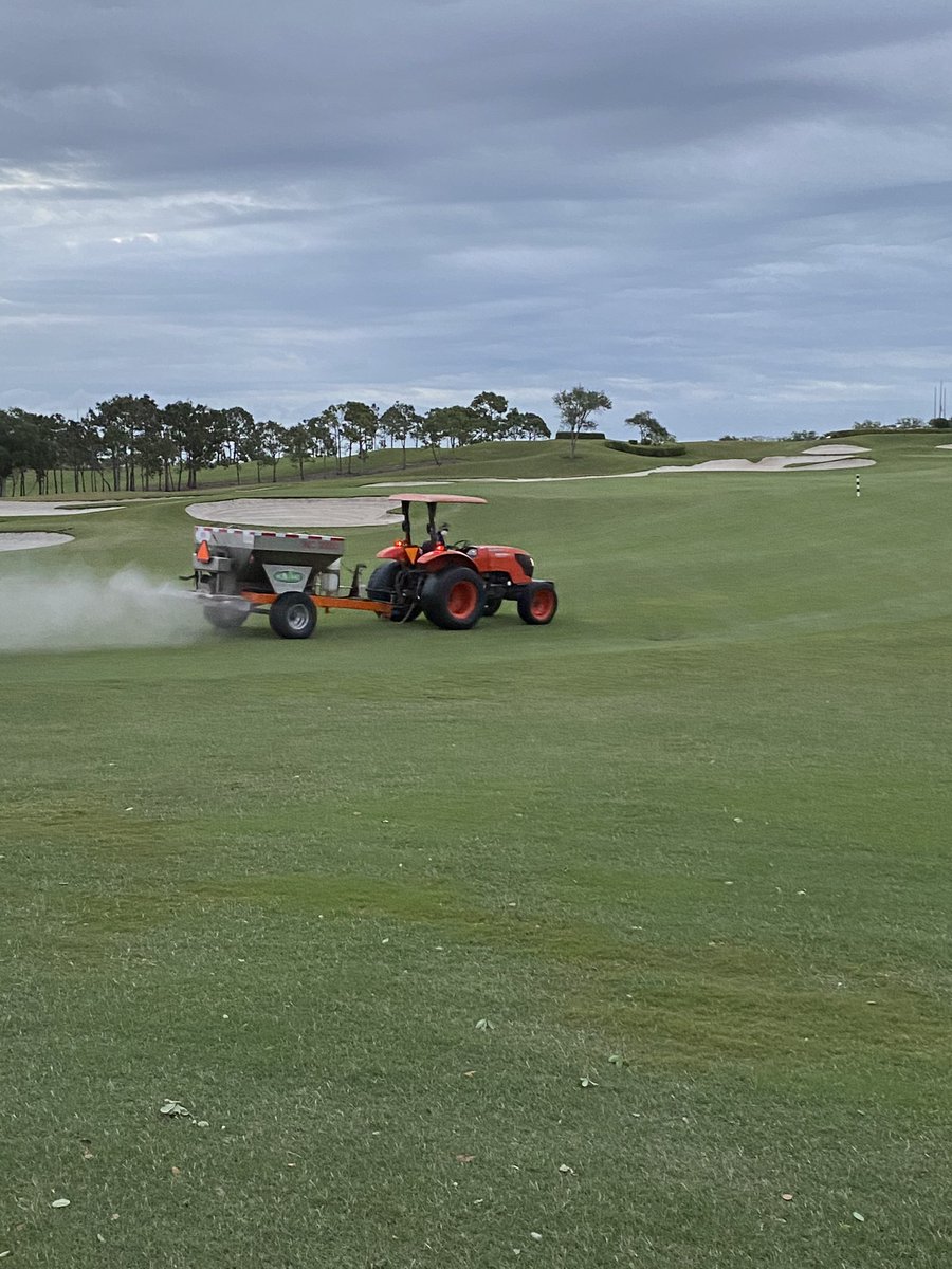 No rain means sodium is dominating our soils - time to flip it with gypsum!