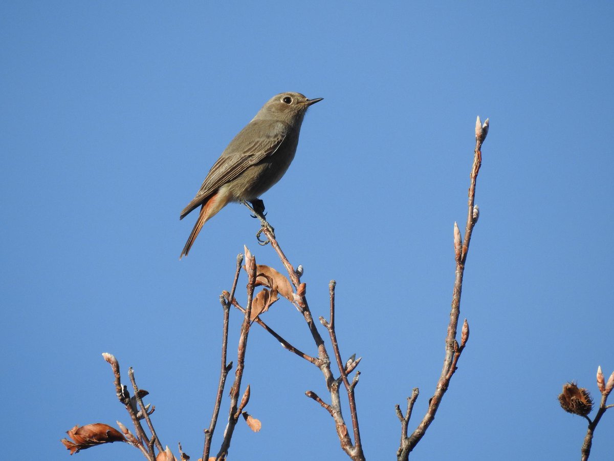 “Terra-Aria-Acqua”, il progetto per monitorare e proteggere la biodiversità urbana di Trento e dintorni. Smartphone alla mano, tutti possono diventare “citizen scientist”, contribuendo alla raccolta di dati naturalistici.
Scarica il CS ➡bit.ly/TerraAriaAcqua…
#pressMUSE