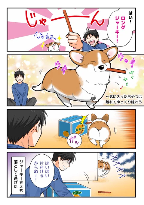 とてもビビりなうちの犬 