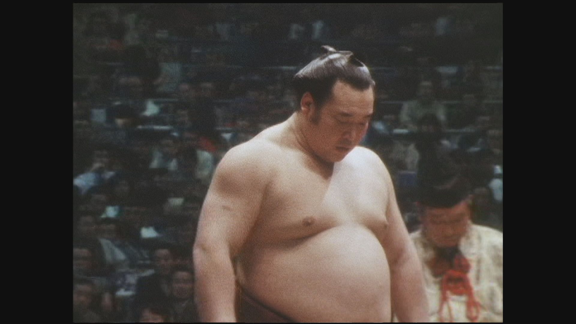 大人気 Unisex お相撲さん 相撲 まわし 力士 日本 文化祭 忘年会 新年会 仮装 衣装 コスプレ コスチューム 注目ブランド Www Endocenter Com Ua 大人気 Unisex お相撲さん 相撲 まわし 力士 日本 文化祭 忘年会 新年会 仮装 衣装 コスプレ コスチューム 注目ブランド Www Endocenter Com Ua