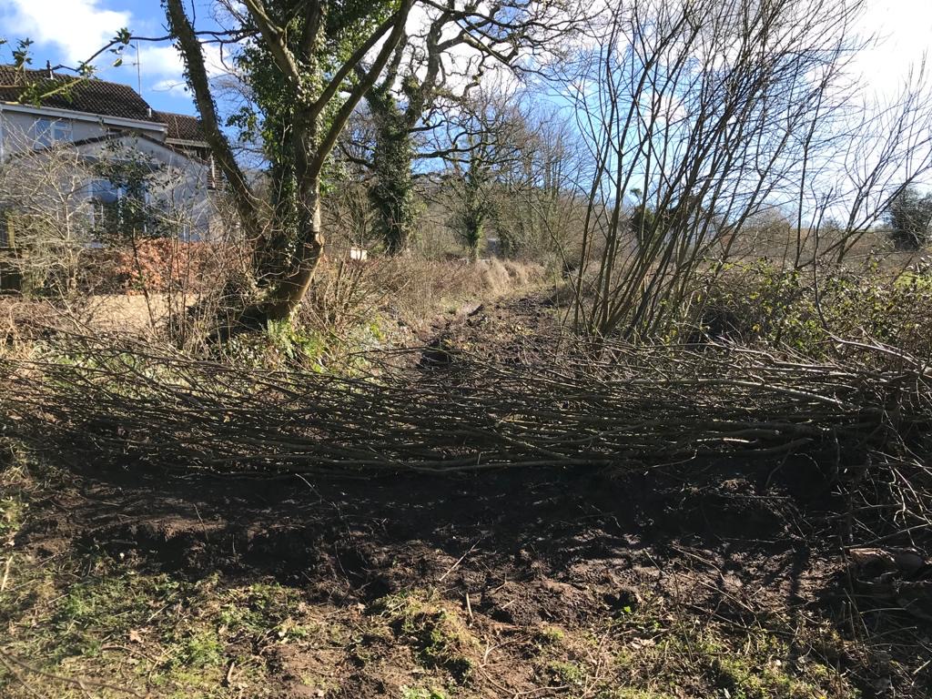 wildeastdevon's tweet photo. 🌳 If you're heading to #HonitonBottom this weekend on your daily exercise look out for this unusual structure...

🦋This dead hedge was built by Ranger Jon to protect a newly-created pond, which will hopefully become great new habitat for wildlife, from predators

#wildeastdevon https://t.co/dqsryZX1oP