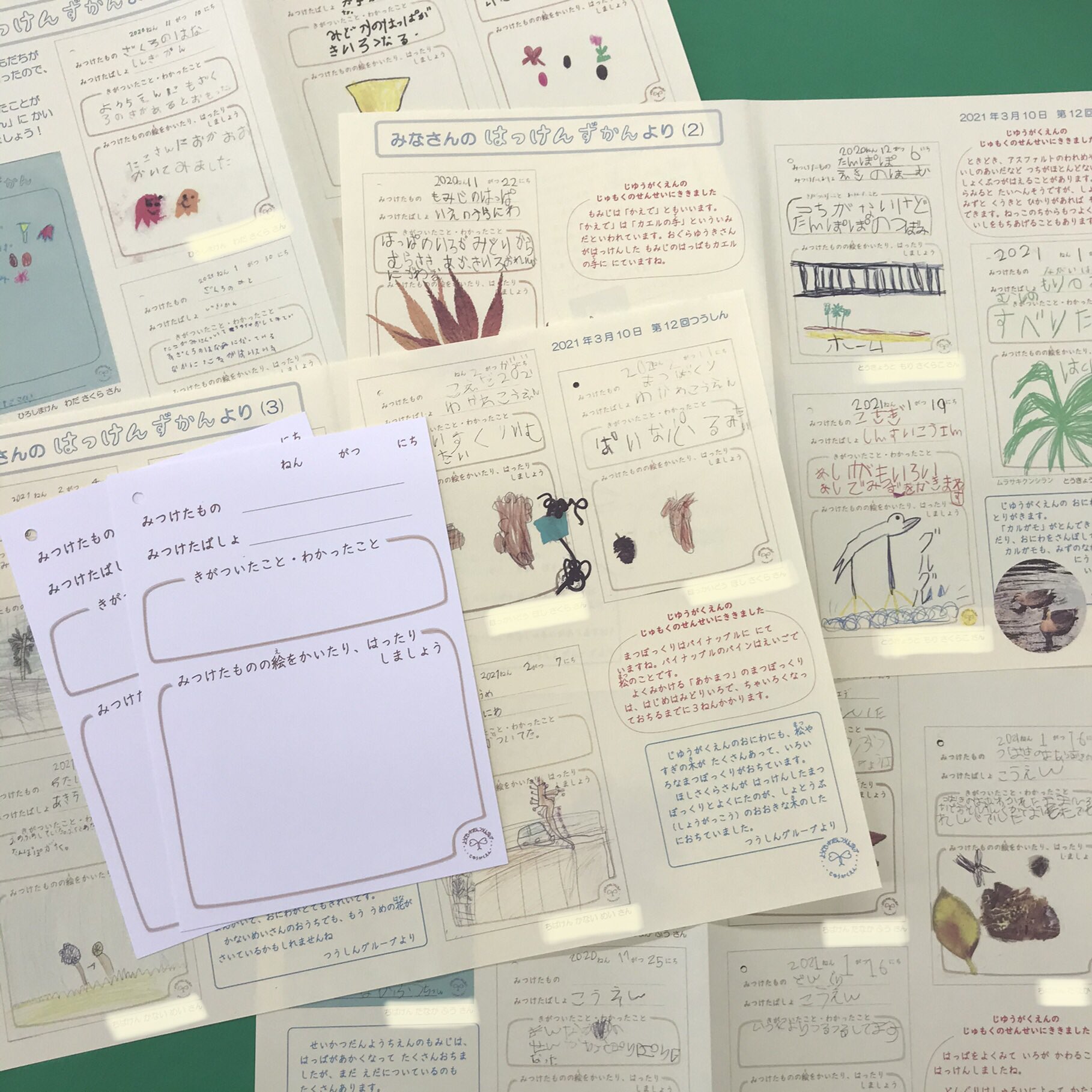 自由学園幼児通信グループ たくさんの はっけん に自由学園のお庭の様子や樹木の先生のお話を加えてお知らせしました T Co Rqhug2kmce 自由学園 幼稚園 生活団 幼児生活団幼稚園 幼児 通信教育 通信グループ 幼児教育 羽仁もと子 かぞく