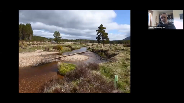 ClimateActionNE's tweet photo. Dr David Hetherington of @cairngormsnews is up now talking about #TreePlanting and #NaturalRegeneration
#treesandbees #BeeMoreTree #ClimateAction #NatureBasedSolutions #IntlForestDay https://t.co/JroiICnPrt