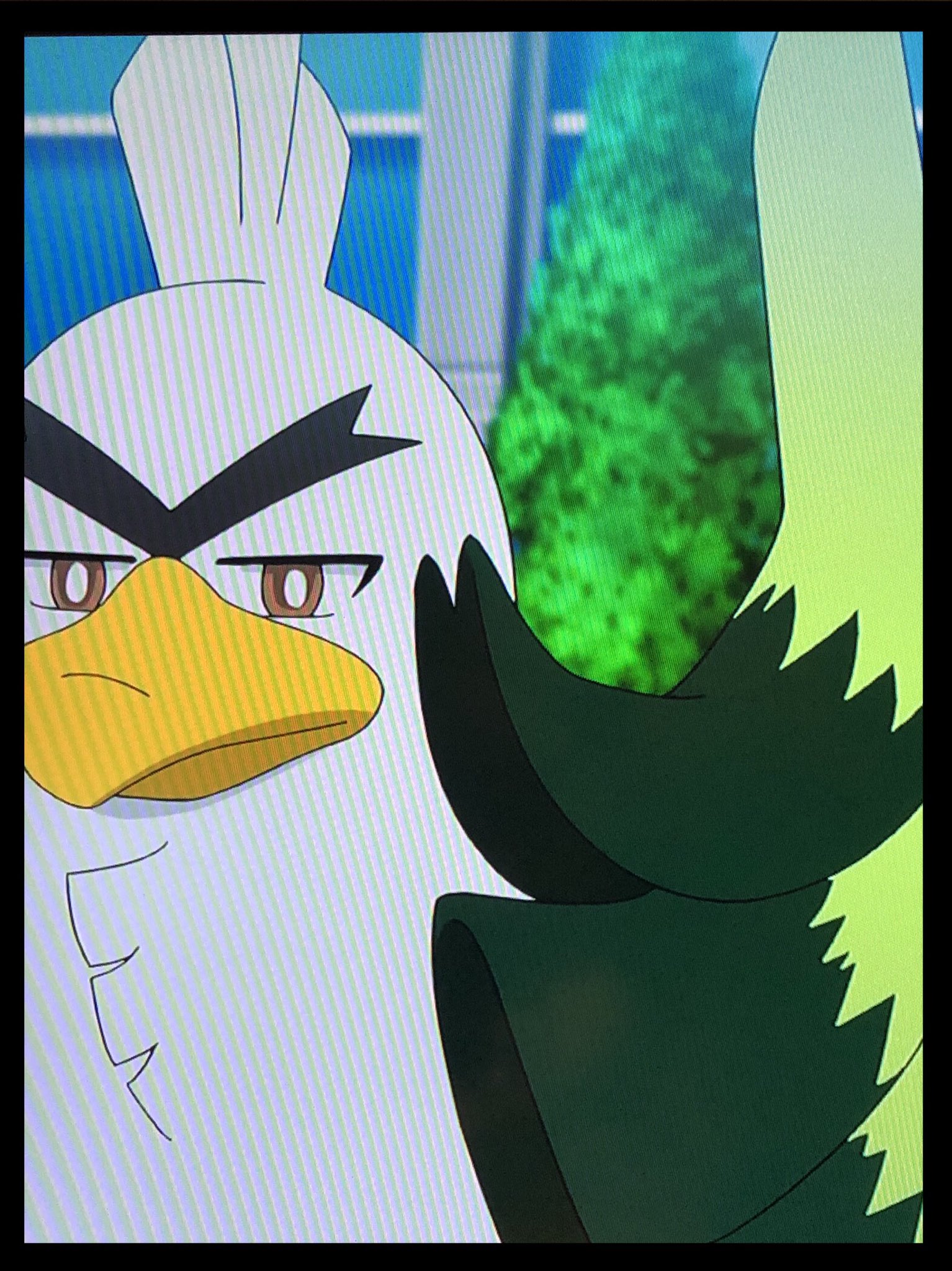 たけぞう Takezo 今日サトシのカモネギが ネギガナイトに進化した やっぱいいよなぁ ポケモンgo Pokemongo ポケットモンスター ネギガナイト T Co By5lbufkd4 Twitter たけぞう Takezo 今日サトシのカモネギが ネギガナイトに進化した やっぱいいよなぁ ポケモンgo Pokemongo ポケットモンスター ネギガナイト T Co By5lbufkd4 Twitter