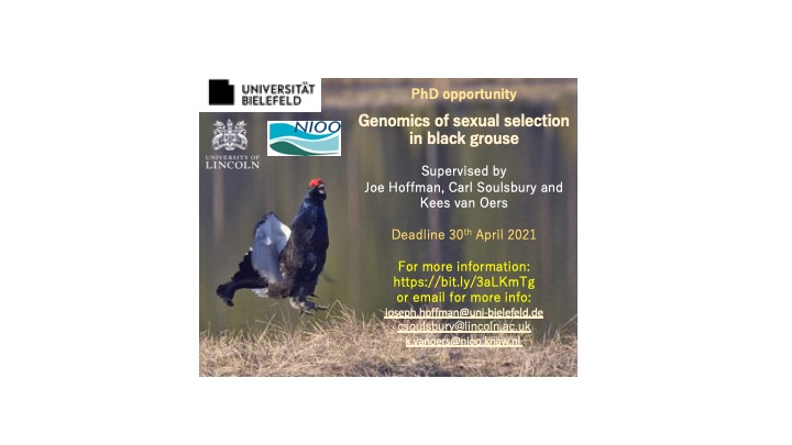 Application deadline for the PhD studentship in avian genomics extended to April 30th.