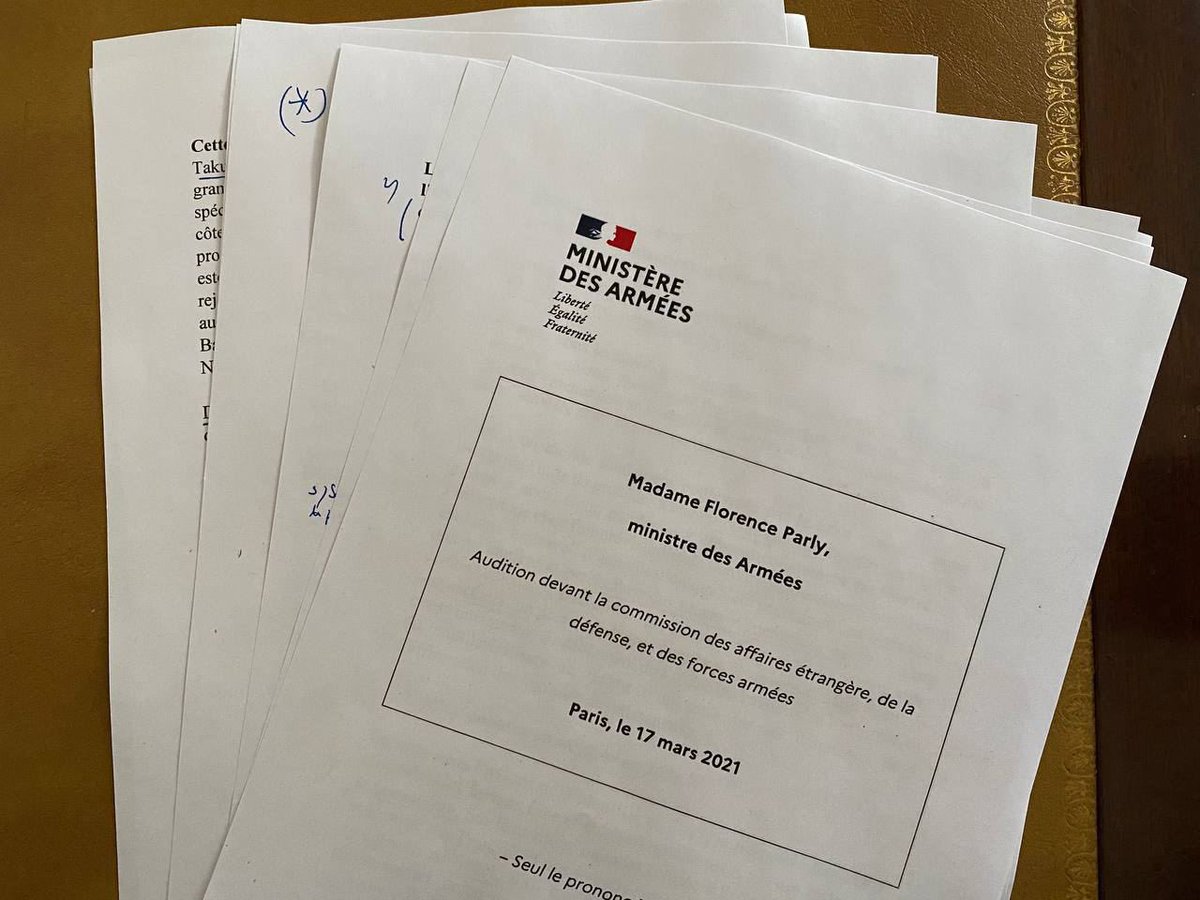 Retour sur mon audition devant les sénateurs de la #ComDefenseSenat consacrée à l’actualisation de la revue stratégique ⤵️