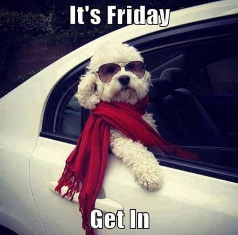Happy Friday, time to chill! Have a great weekend. #Invoice #finance #business #Friday #weekend