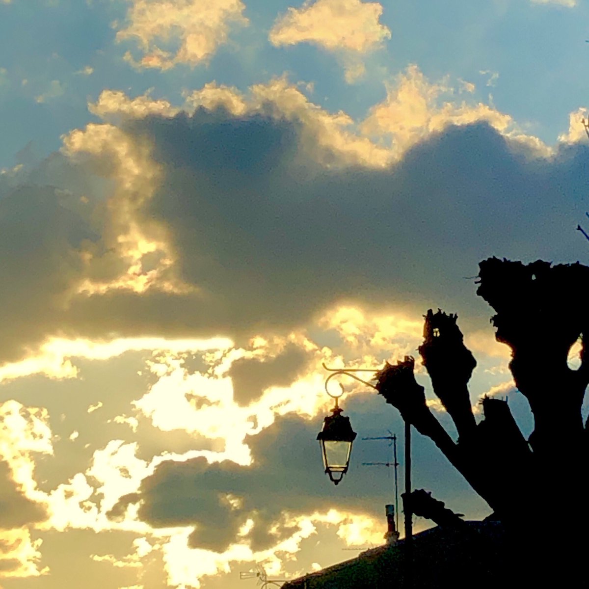 _Mme_E's tweet photo. — Le ciel, alors que je viens de me garer et que j’attends la fin de l’Adagietto de la 5e pour quitter la voiture —
#MahautClassique #GustavMahler
#TheSkyAlwaysKnows https://t.co/fkoiIWhZPx