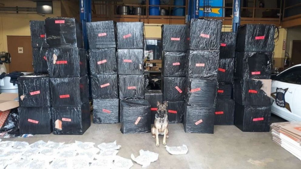 This police dog sniffed out a major find after sniffing out half a ton of Marijuana during a routine traffic stop valued at approx $8 million 😳 

#policedog #policek9 #policek9unit #policedoglife #drugbust #amazingdog #dog #dogeh
