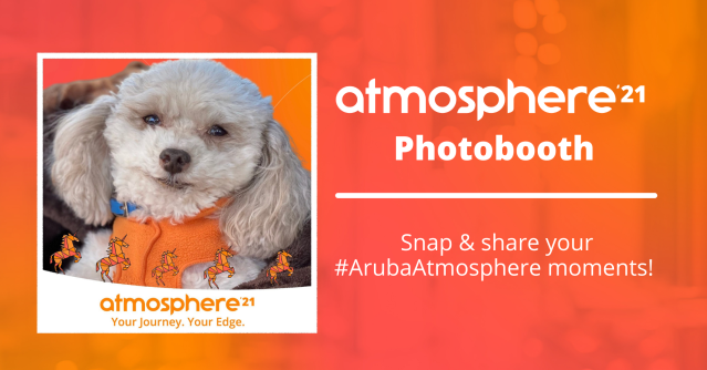 Sir Teddy, an <a href="/ArubaNetworks/">arubanetworks</a> #NetWoof, getting excited for #ArubaAtmosphere! Register today, snap &amp; share your Atmosphere moments! dy.si/34qgZ