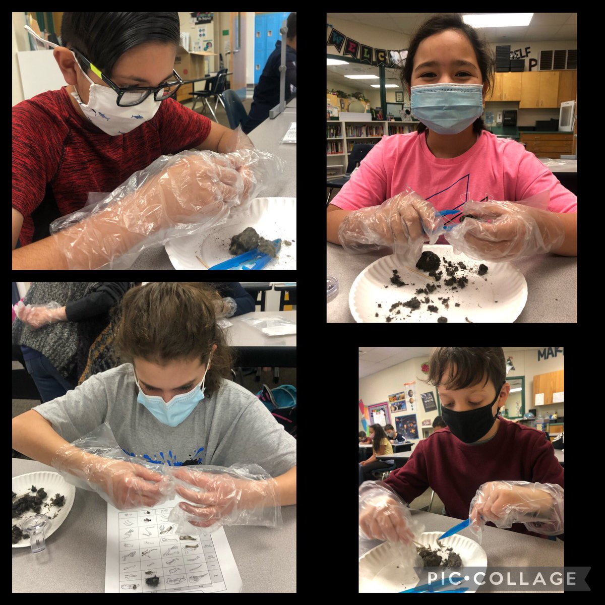 Bobcat5703's tweet photo. 5th Graders dissecting owl pellets! The reactions and excitement were priceless! #strongbobcats #makeitfun https://t.co/8xHCRKTdkU