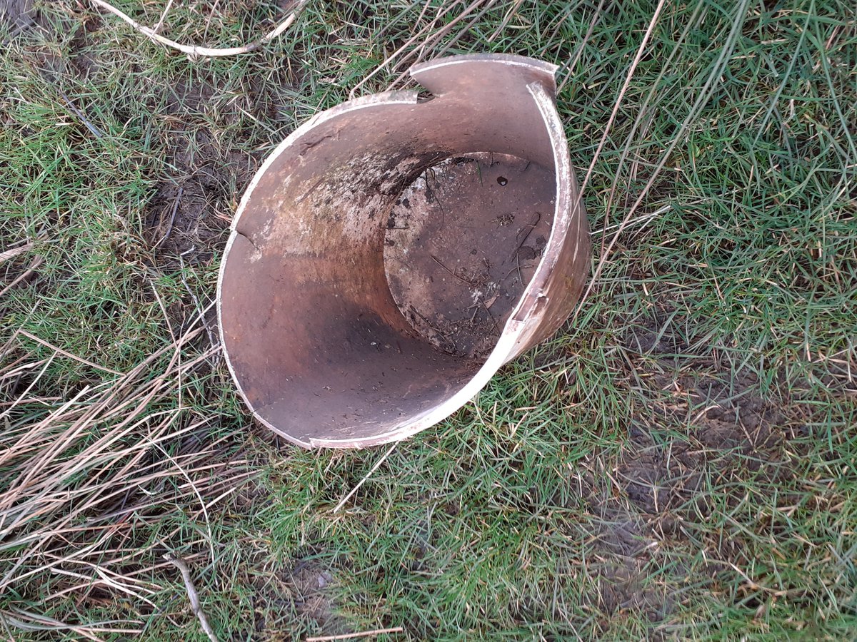 Doxey marshes walk. Some #shells and a #litterpick bucket.