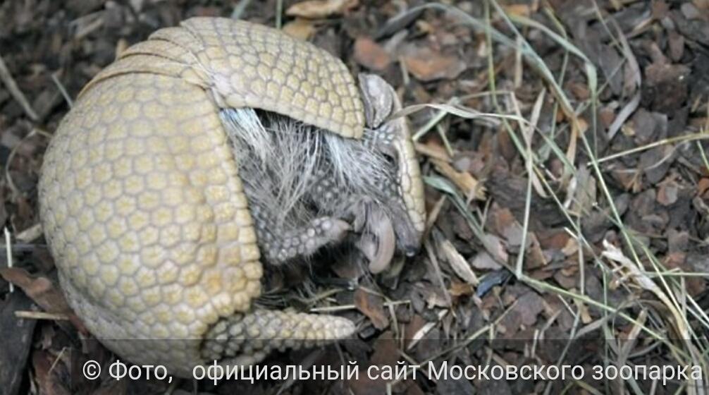 TypicalMoscow tweet picture
