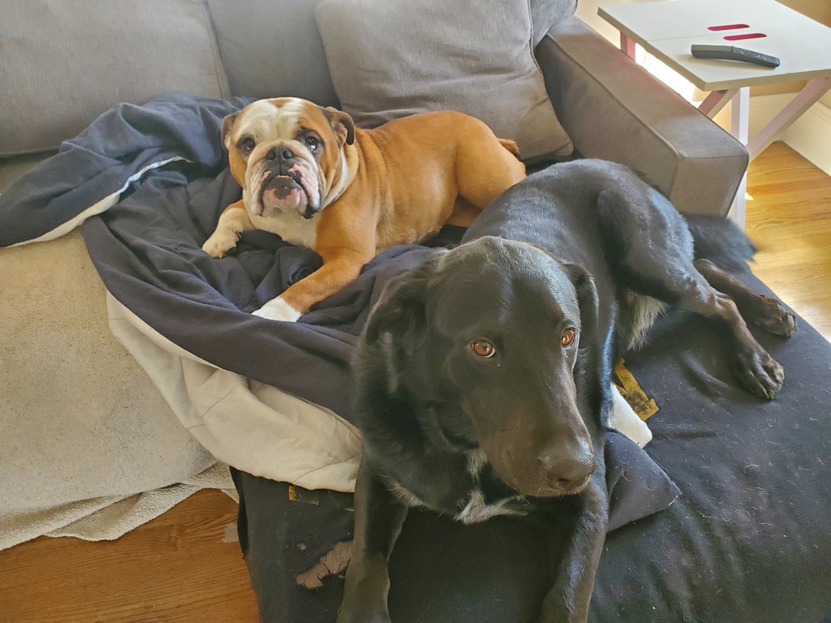 Hayley Treloar Padovano, PhD tweet media