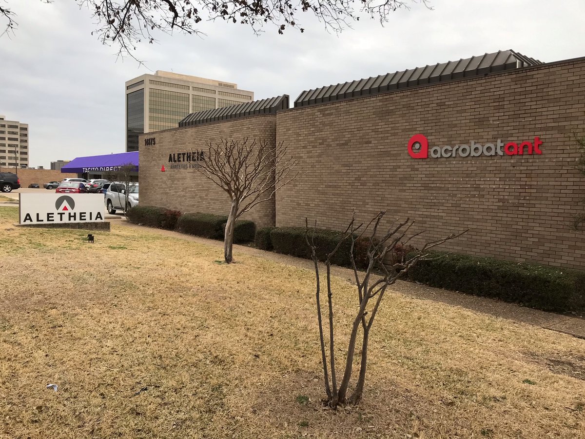 AcrobatAnt tweet media