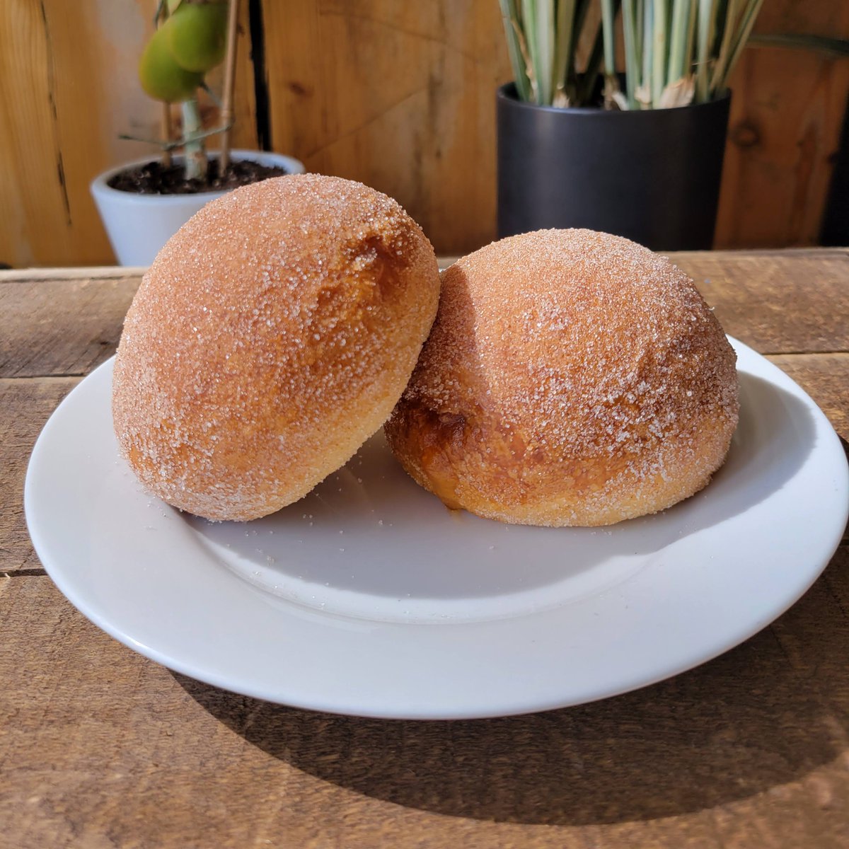 the Spoke & Bird tweet media