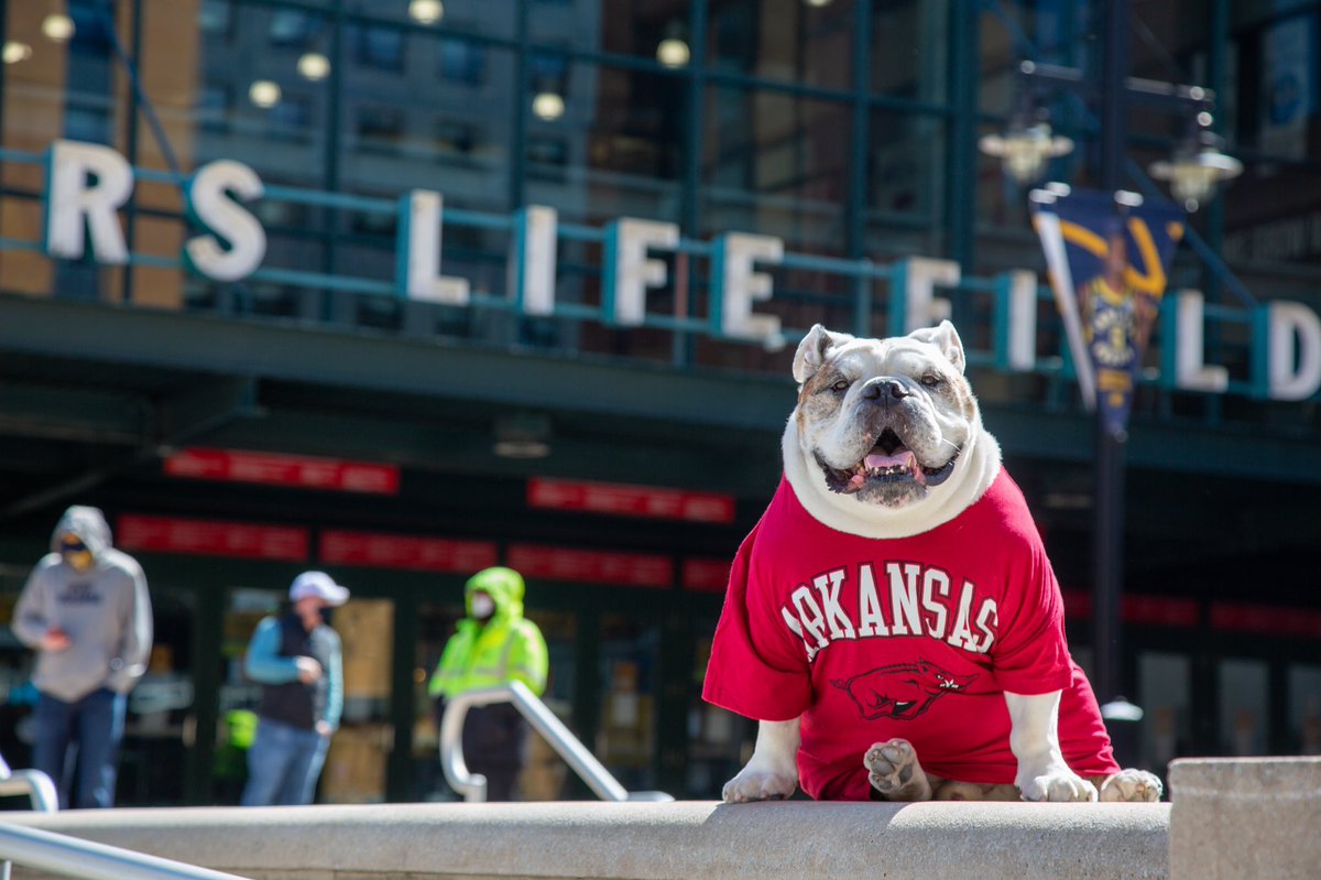 ButlerBlue3's tweet photo. My first “Trip’s Picks” of the day goes to my guy, @Tusk_UA, and his @ArkRazorbacks. They’re in battle now against a toothpaste company at @TheFieldhouse. Go Hogs! #MarchMadness | #MayorofMarch | #TripsPicks https://t.co/adFL9znbwn