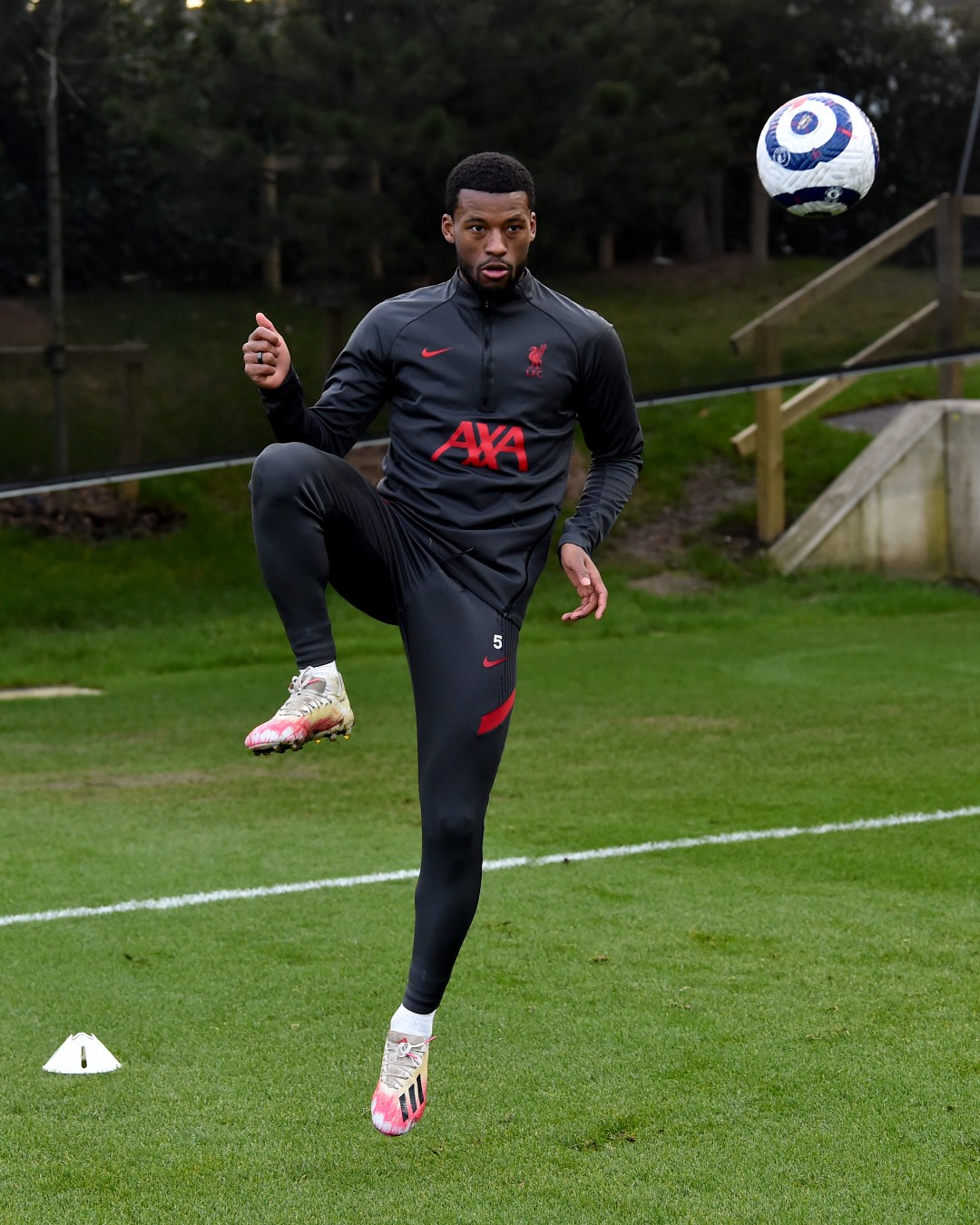 Lfc training cheap kit sale