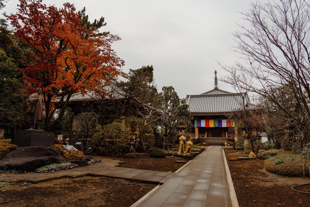 Ichiban_Japan's tweet photo. Le petit temple de mon quartier à travers les saisons. https://t.co/2h8FpqvBWr