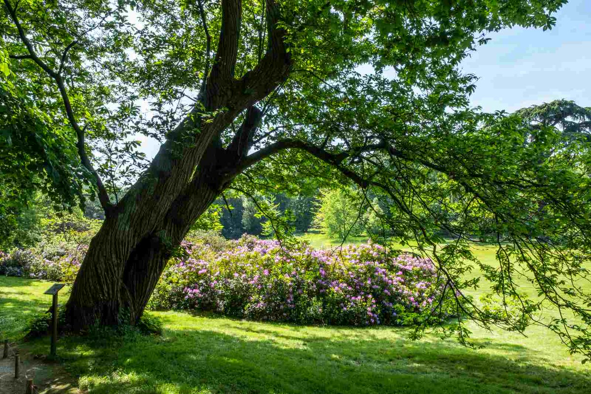 Maisonchateaubriand Suite Aux Annonces Gouvernementales Concernant Le Couvrefeu19h Les Horaires D Ouverture Du Domaine De La Valleeauxloups Sont Modifies A Compter Du Mars Parc Boise 7h30 19h