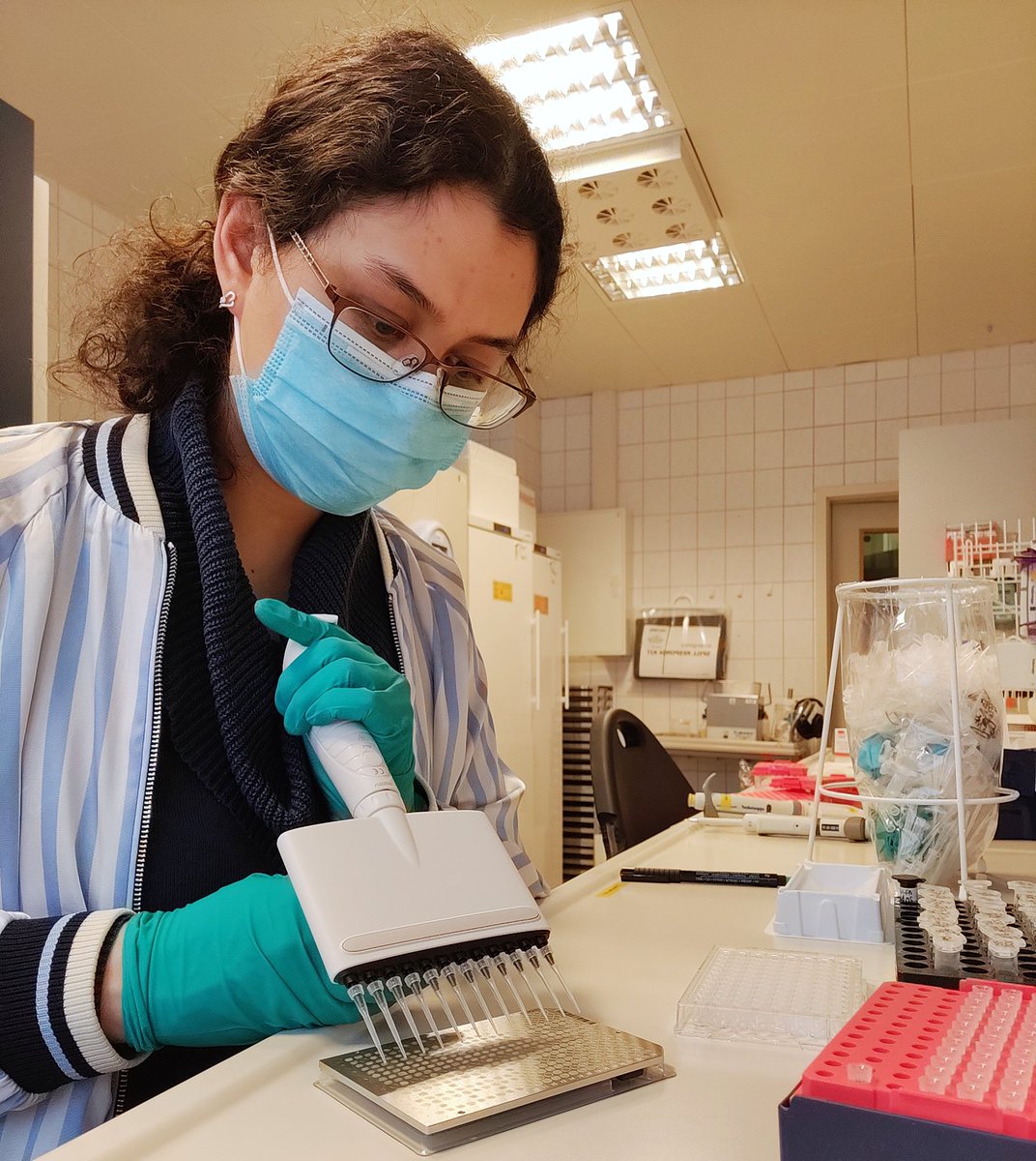 Netty's tweet image. Another plate spotted and ready for the MALDI-TOF. #FINDER_Project #ZooMS