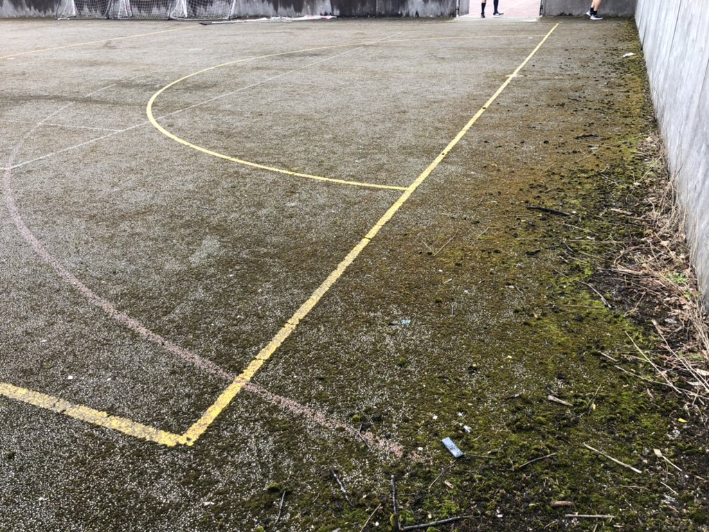 PETeacher tweet media