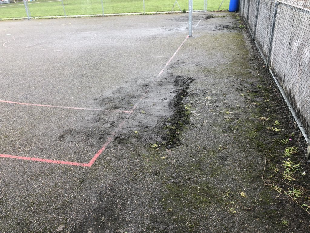 PETeacher tweet media