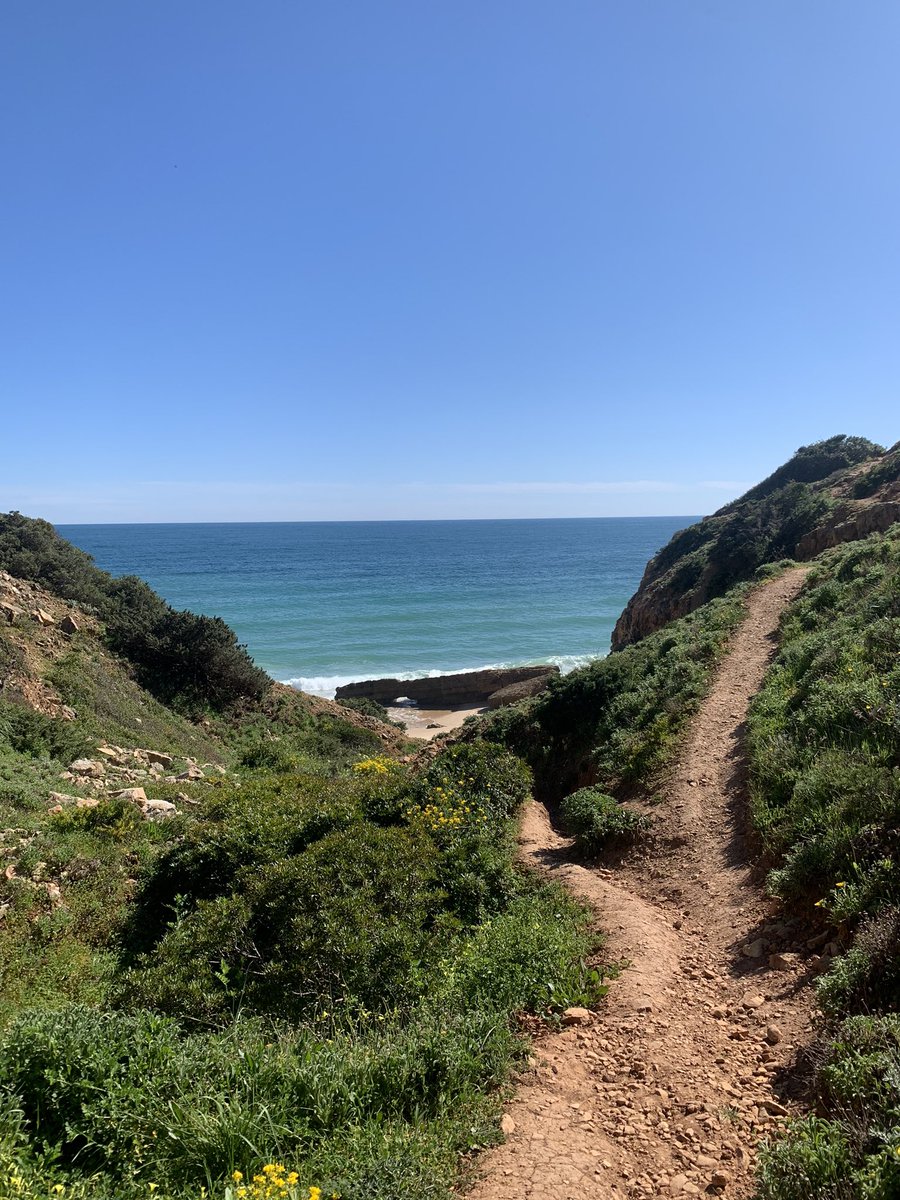 gonetodiscover's tweet photo. Secret Beaches🤫
—

We are walking parts of the Western Algarve coast. Yesterday Salema to Praia das Furnas. 
This little part of the coast was different again, with beautiful flowers and remote beaches only accessible by foot.
If you haven’t been, go!

Até breve!
#salema #burgau https://t.co/IeSqGgJITV