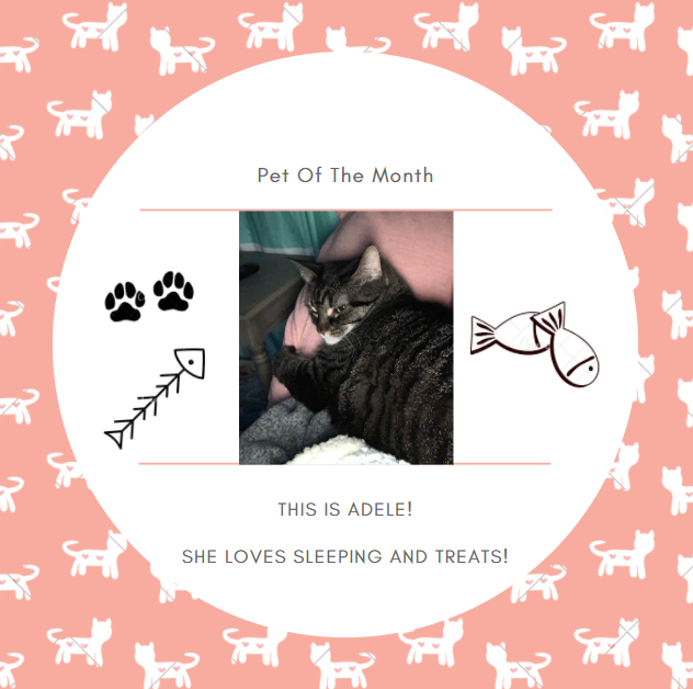 MapleLane_Apts's tweet photo. Pet Of The Month! https://t.co/nmEbXaiail