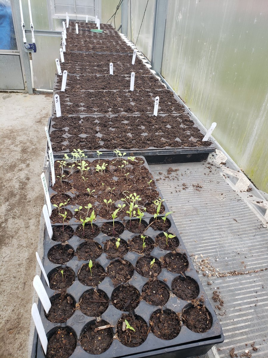 ConoverFarm tweet picture