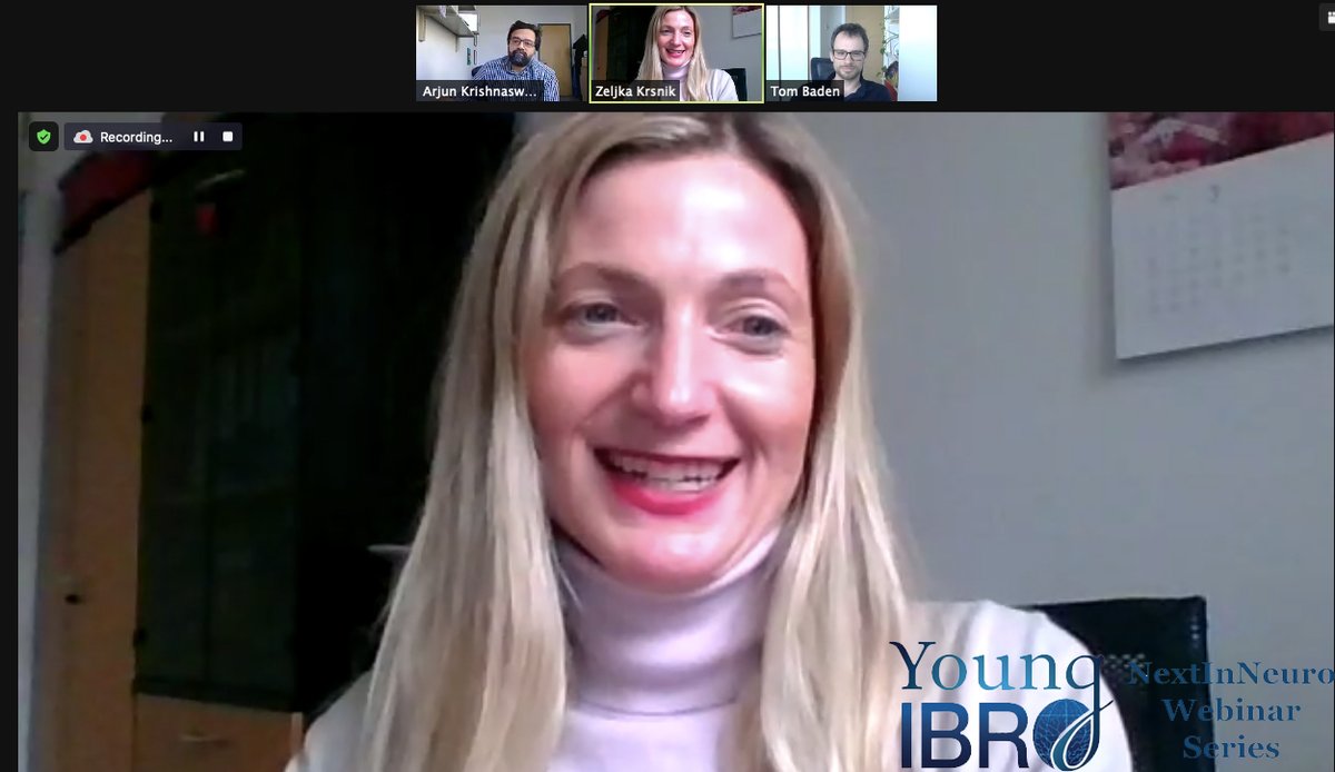 IBROorg's tweet photo. "Young IBRO is excited to launch #NextInNeuro webinar series: Beside being an excellent emerging scientist Tom Biden represents a brilliant example of IBRO's core values!" Dr. @KrsnikZeljka Young IBRO Chair
Young IBRO NextInNeuro webinar with @NeuroFishh is live now! #BrainWeek https://t.co/EKNjj4svTu