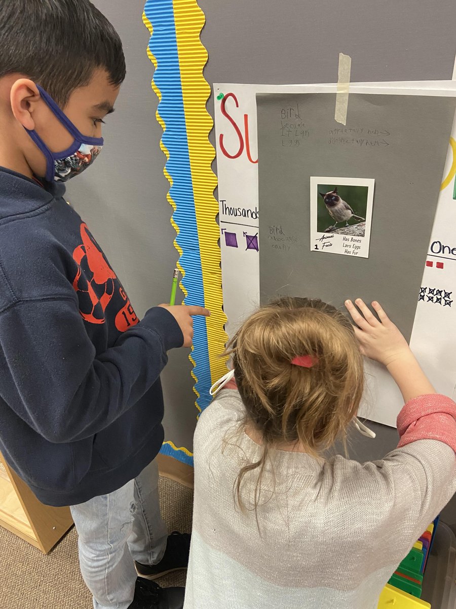 Indy_STEM's tweet photo. Ms. Chesness' class utilized a graffiti wall, which is one of our STEM collaboration strategies, classifying mixed up animals into the different animal groups. The students had great conversations about what characteristics make each animal fit into each group! https://t.co/DqZeASzk9Q
