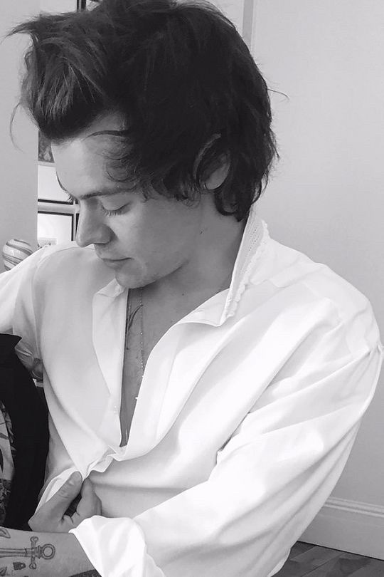 best harry pics tweet media