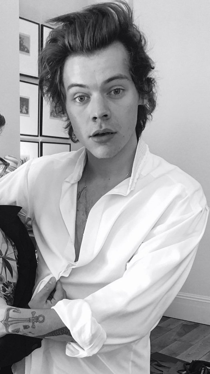 best harry pics tweet media